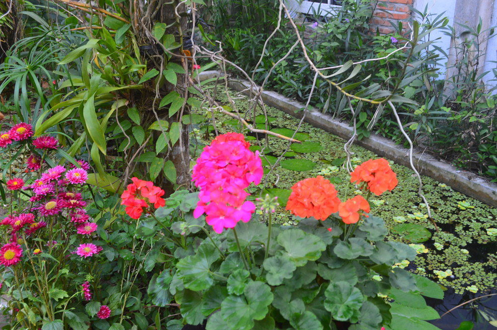 The Hoi An Orchid Garden Villas المظهر الخارجي الصورة