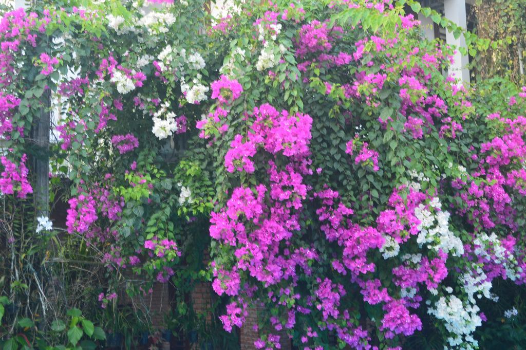 The Hoi An Orchid Garden Villas المظهر الخارجي الصورة