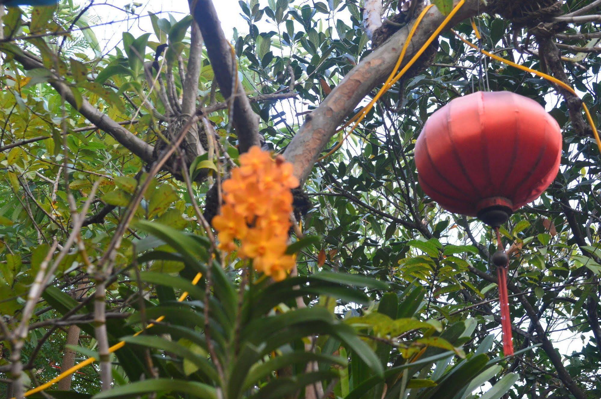 The Hoi An Orchid Garden Villas المظهر الخارجي الصورة